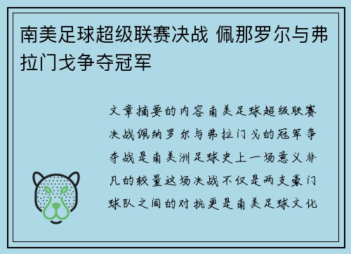 南美足球超级联赛决战 佩那罗尔与弗拉门戈争夺冠军