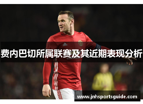 费内巴切所属联赛及其近期表现分析